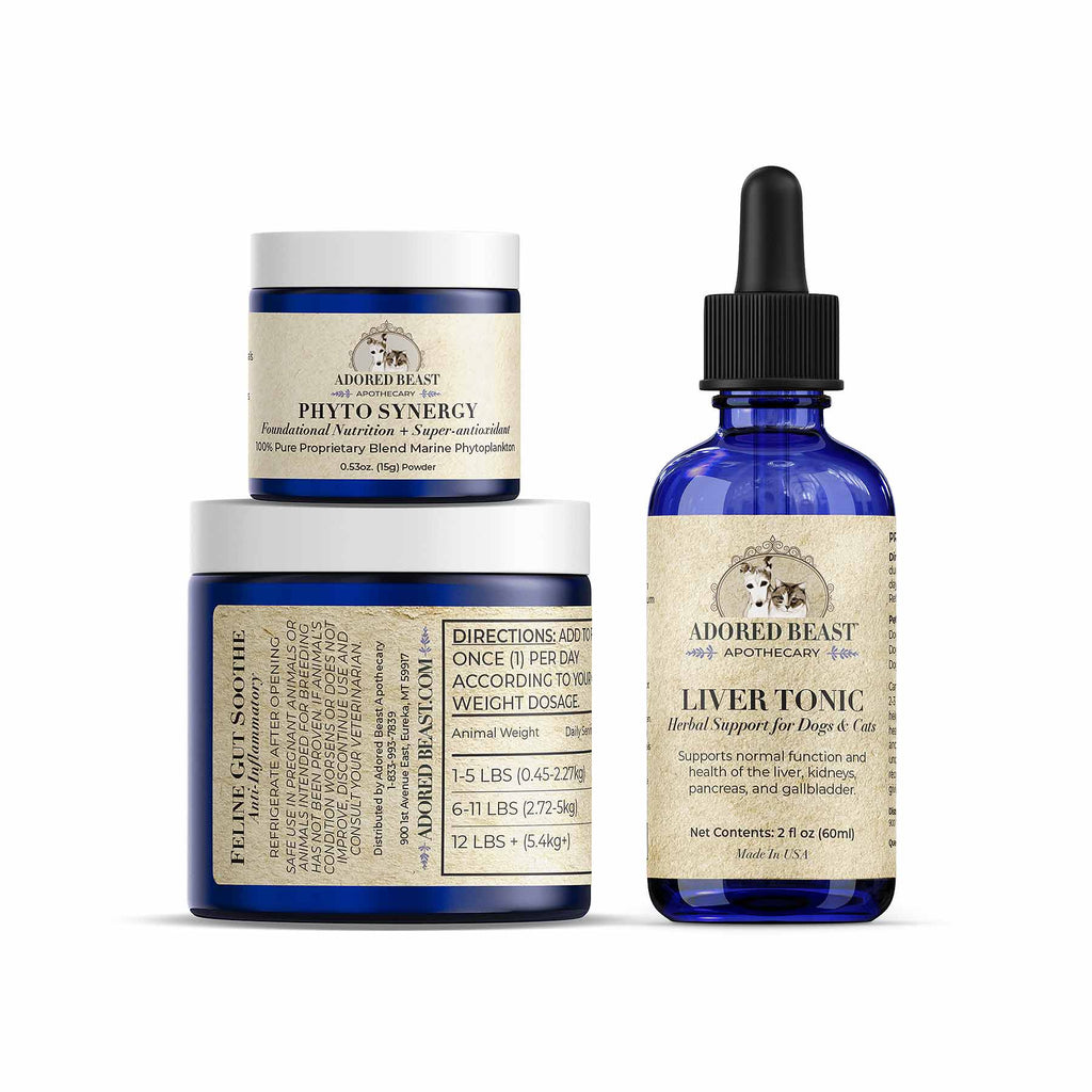 Feline-Immunity-Boosting-
