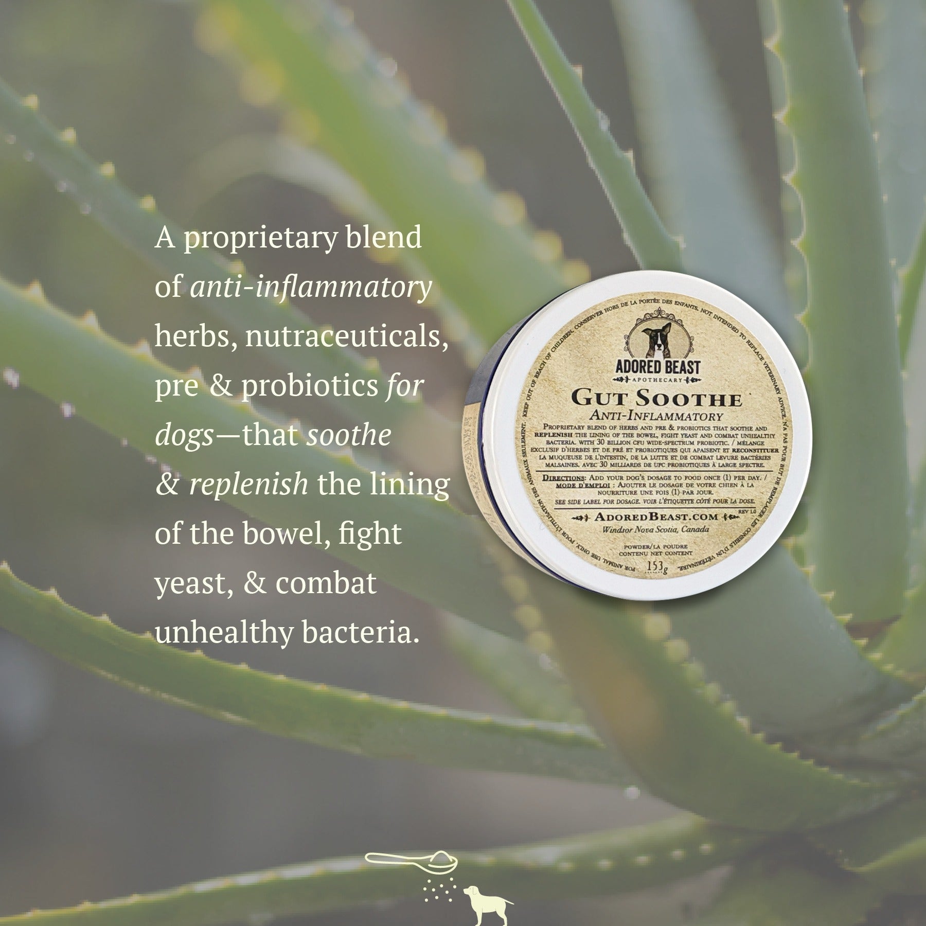 Canine Gut Soothe | Anti-Inflammatory