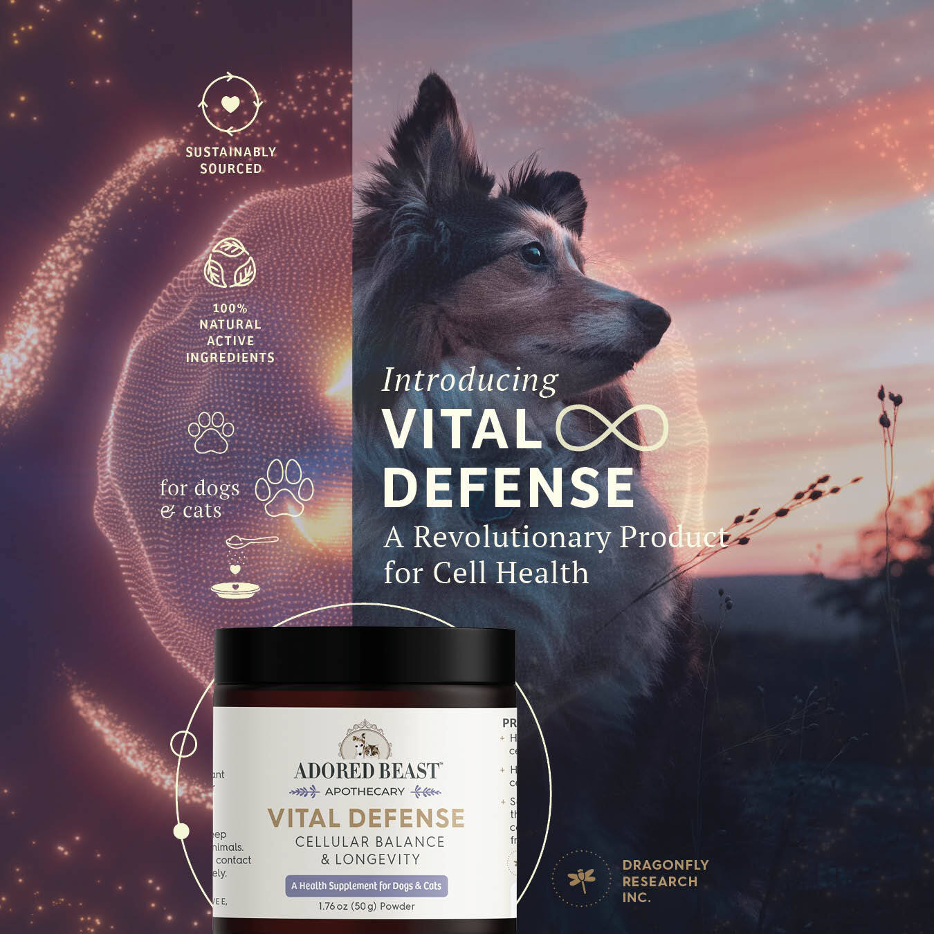 Vital Defense | Cellular Support