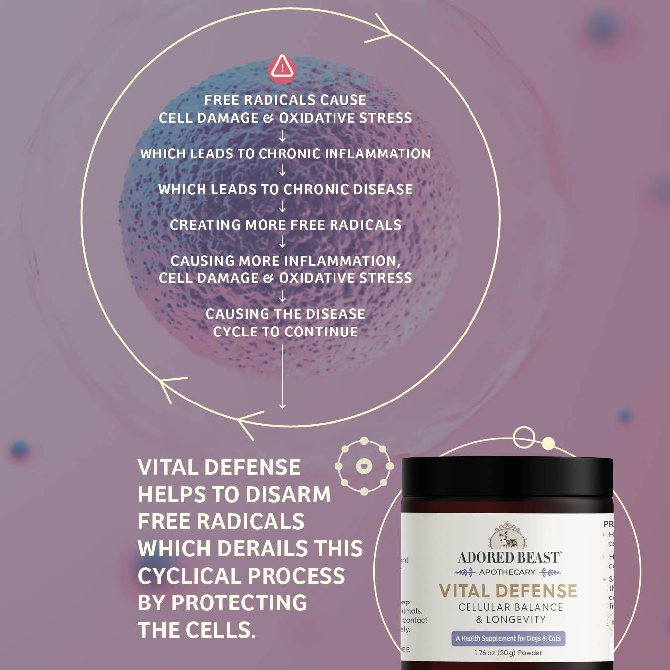 Vital Defense | Cellular Support