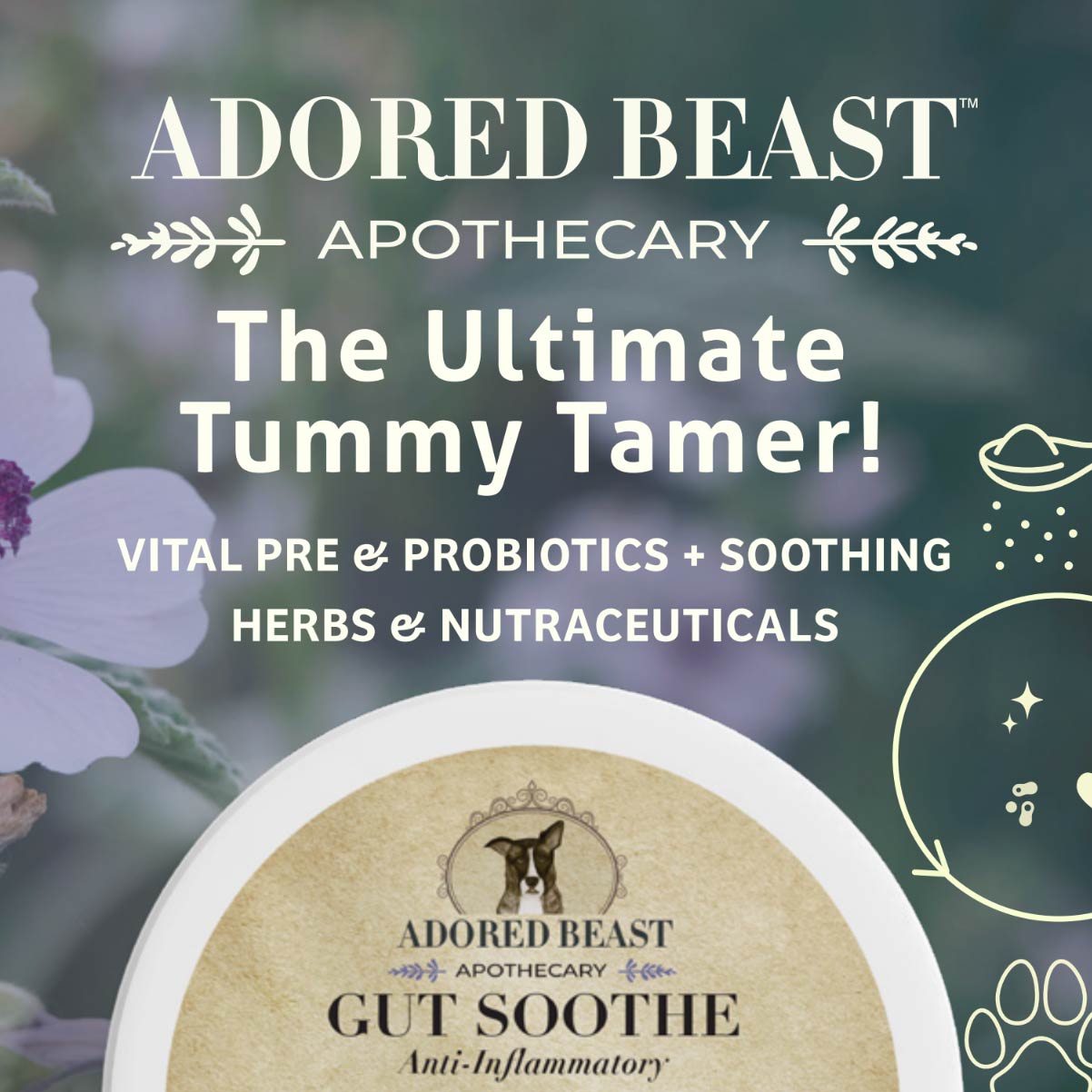 Canine Gut Soothe | Anti-Inflammatory