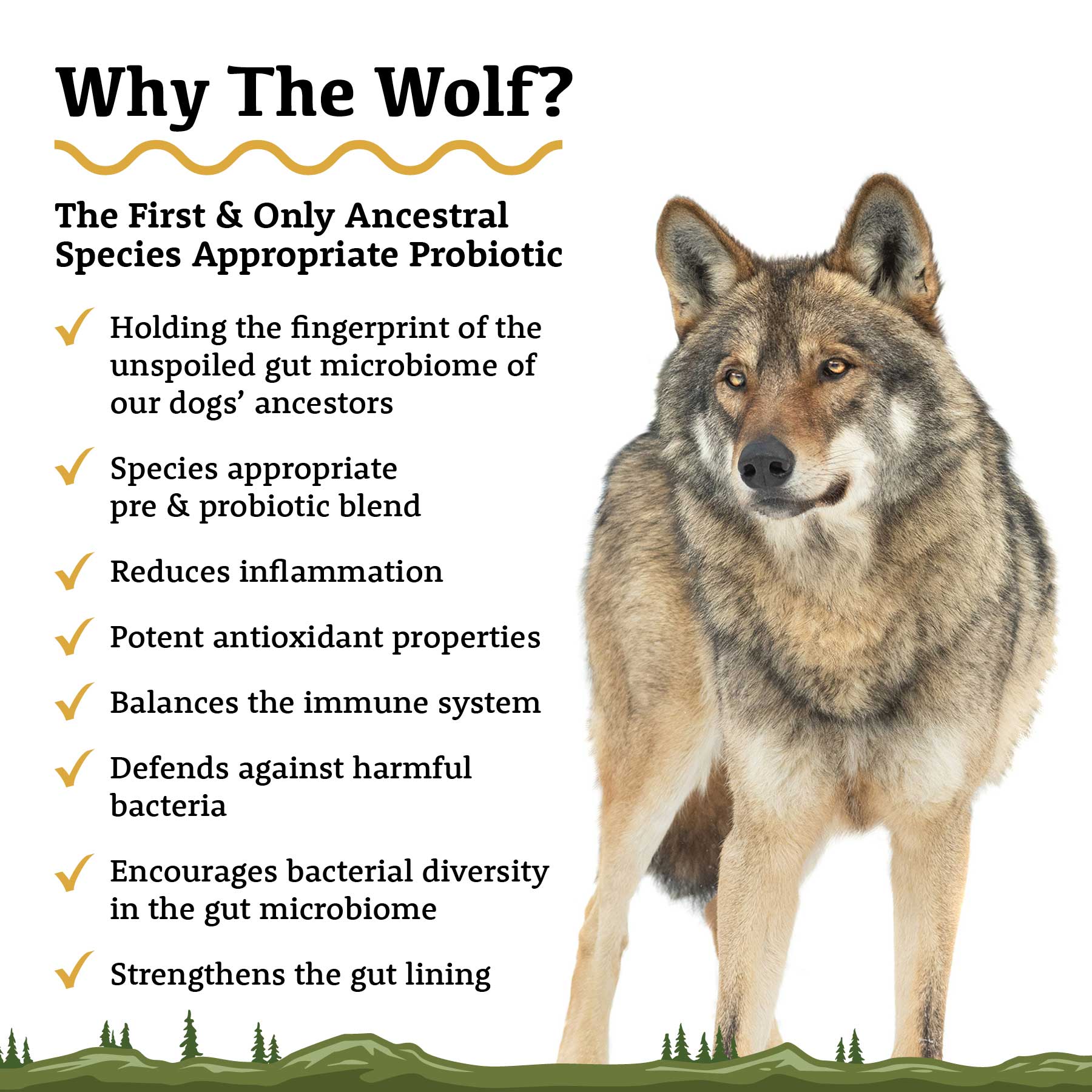 The Wolf | Species Appropriate Probiotic